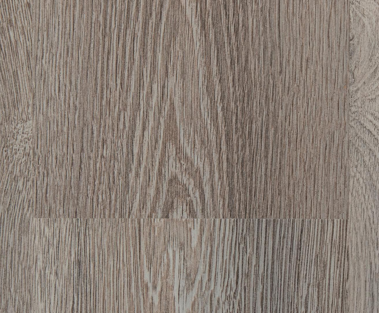 Дуб Суматра